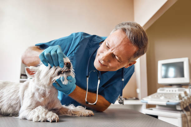 Best Emergency Tooth Extraction  in Fifth Ward, LA